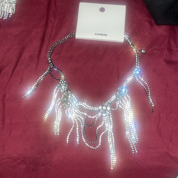 Express Draped Fringe Chain Necklace - Picture 4 of 9